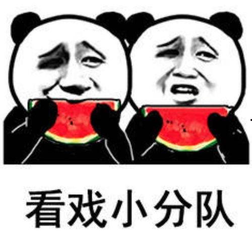 娱乐吃瓜表情包图片